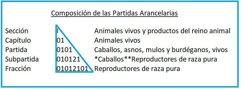 Composicion-de-las-partidas-arancelarias